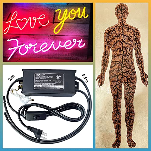 Lichtenberg Machine Neon Sign Transformer Fractal Wood Burning Machine