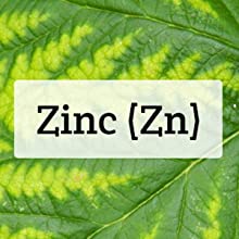 zinc capsule pills supplements vitamins for adults 50mg 50 30mg lozenge losenge picolinate oxide