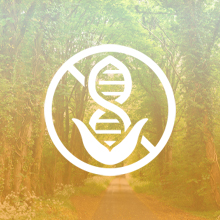 Immune Support Vitamins Zinc Elderberry Vitamin C Echinacea Goldenseal Capsules System Supplement