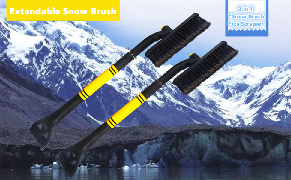 Snow Brush