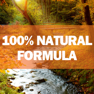 immune support vitamins, garlic, vitamin c, zinc, elderberry, echinacea, immunity booster supplement