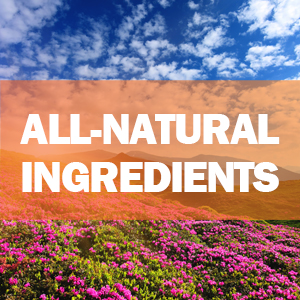 immune support vitamins, garlic, vitamin c, zinc, elderberry, echinacea, immunity booster supplement