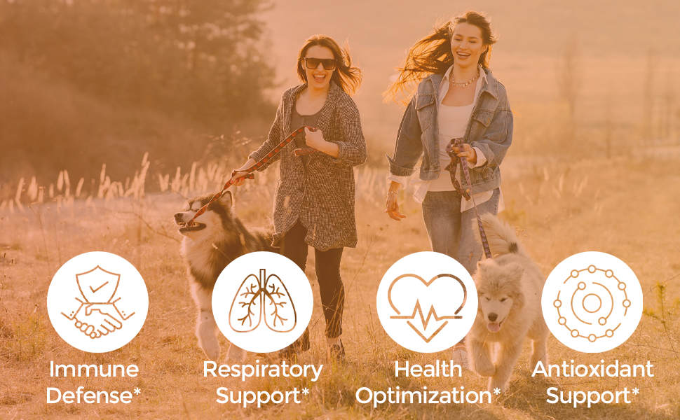 immune support vitamins, garlic, vitamin c, zinc, elderberry, echinacea, immunity booster supplement