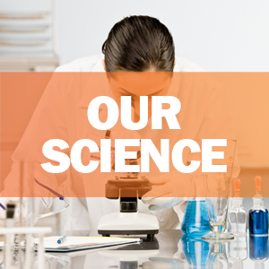 immune support vitamins, garlic, vitamin c, zinc, elderberry, echinacea, immunity booster supplement